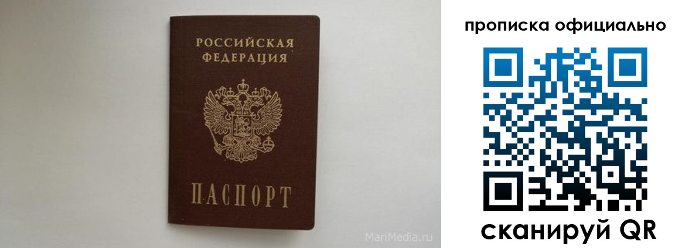 прописка в квартире в Фрязино